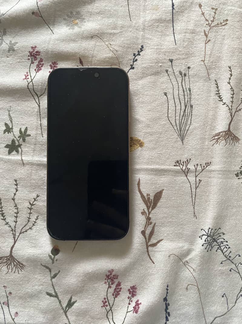 Apple iPhone 16 Pro 2