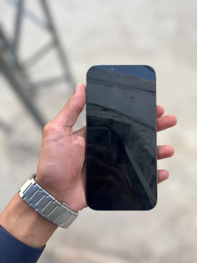 Apple iPhone 13 Pro Max 2