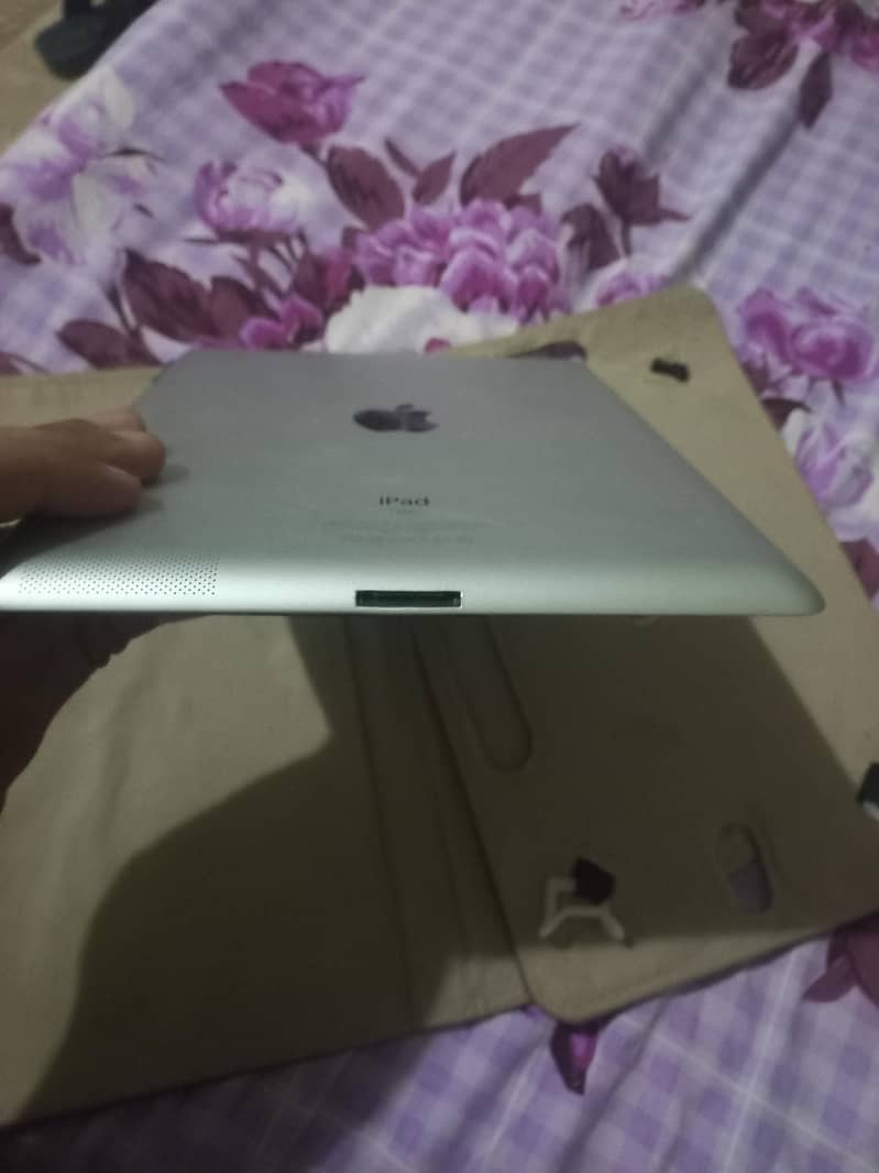 apple 2