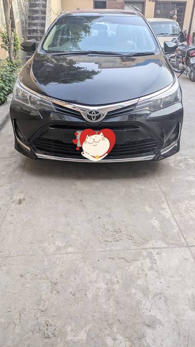 GLI 2015