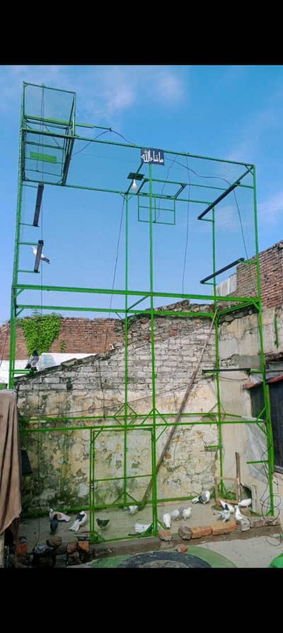 pigeon cage
