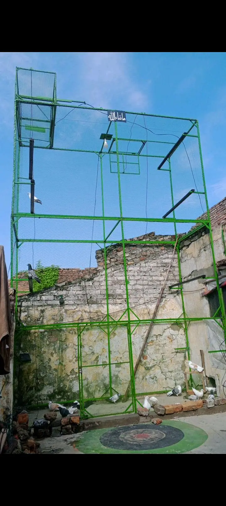 pigeon cage — photo 2