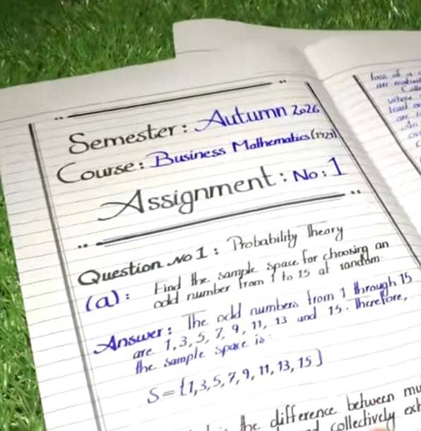 Khushkhat Assignment Writer 1
