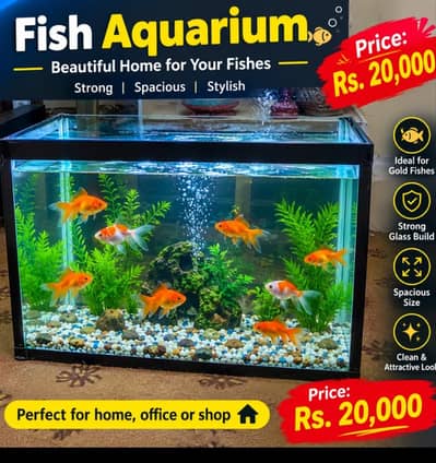 fiber glass aquarim best for gold fishes (2ft×1.5×1ft)