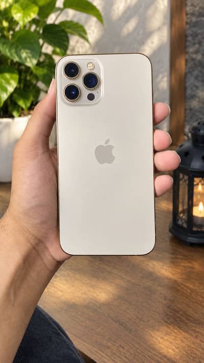 Apple iPhone 12 Pro Max
