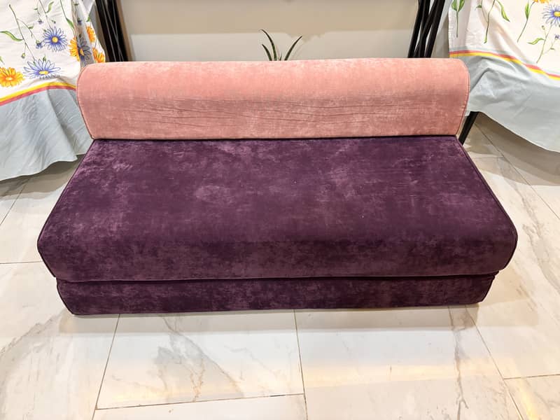 Sofa Cum Bed pair 1
