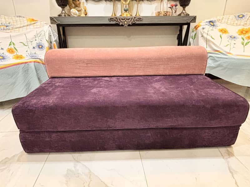 Sofa Cum Bed pair 2