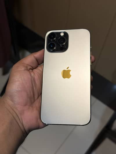 Apple iPhone 13 Pro Max