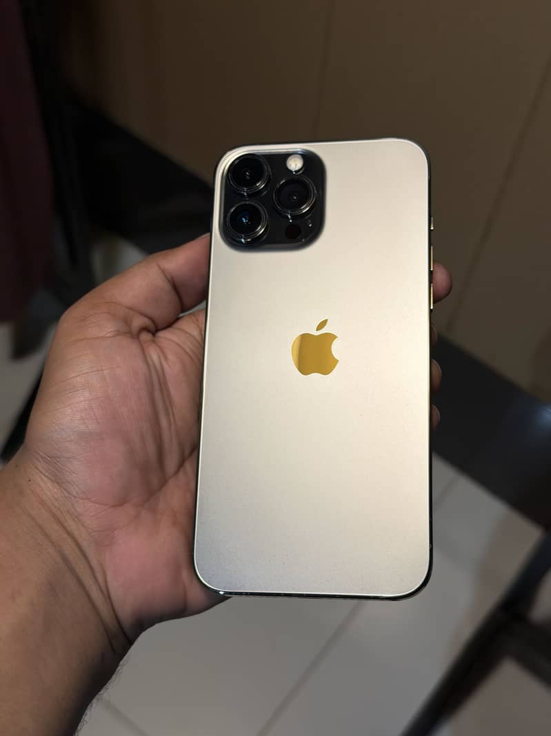 Apple iPhone 13 Pro Max 0
