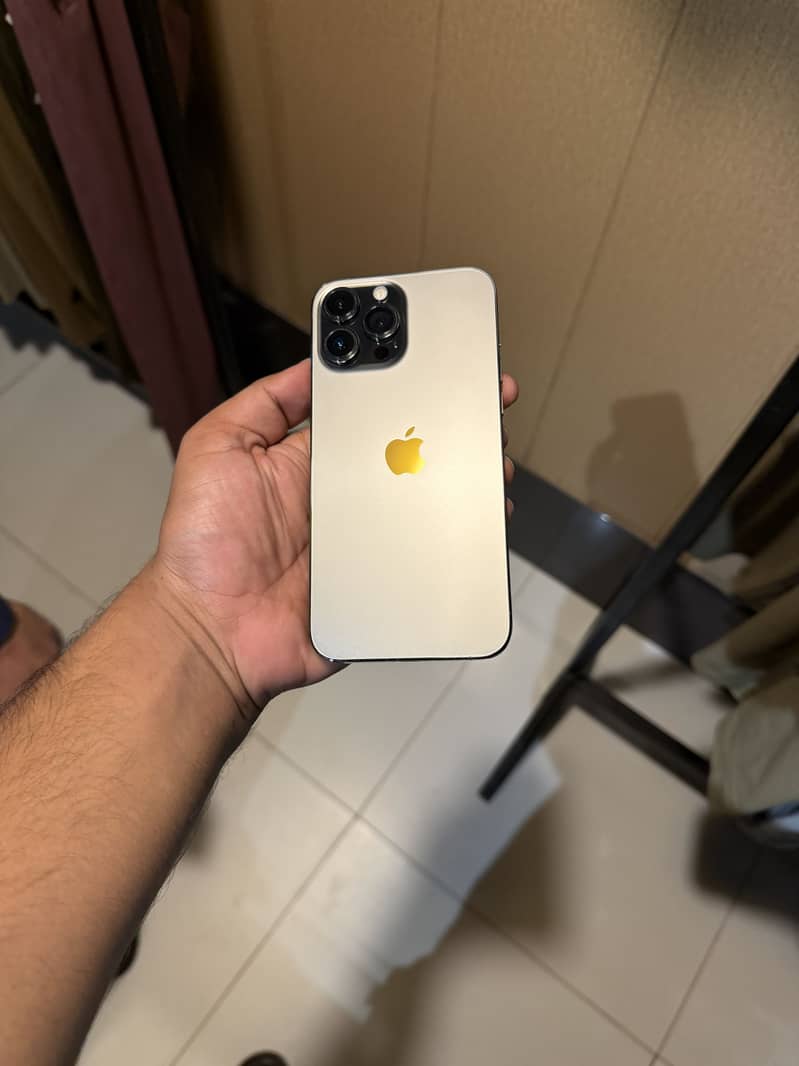 Apple iPhone 13 Pro Max 3