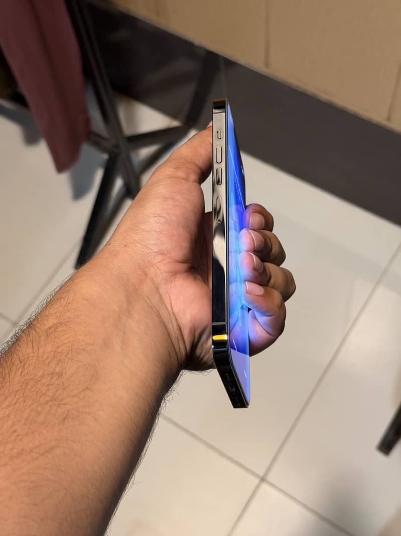 Apple iPhone 13 Pro Max 9