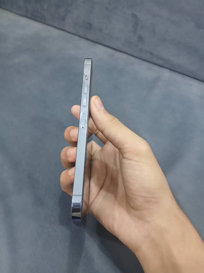 Apple iPhone 13 Pro Max 1
