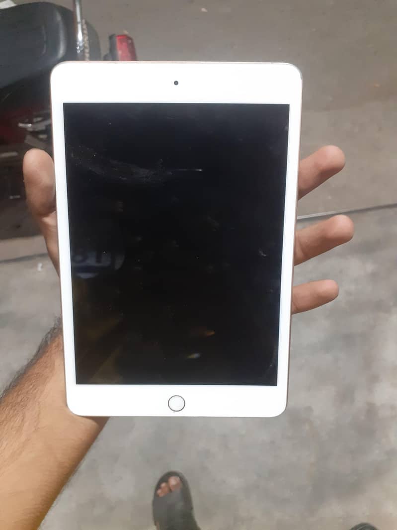 Apple iPhone 5 0