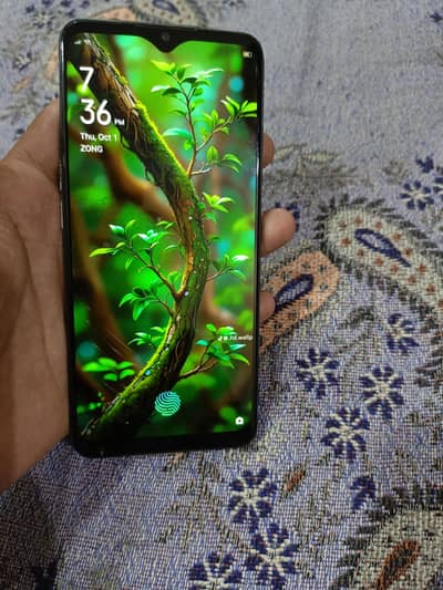 OPPO A91 pta approved