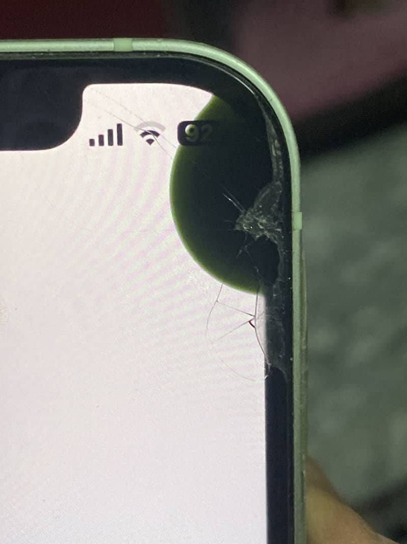 Apple iPhone 12 2