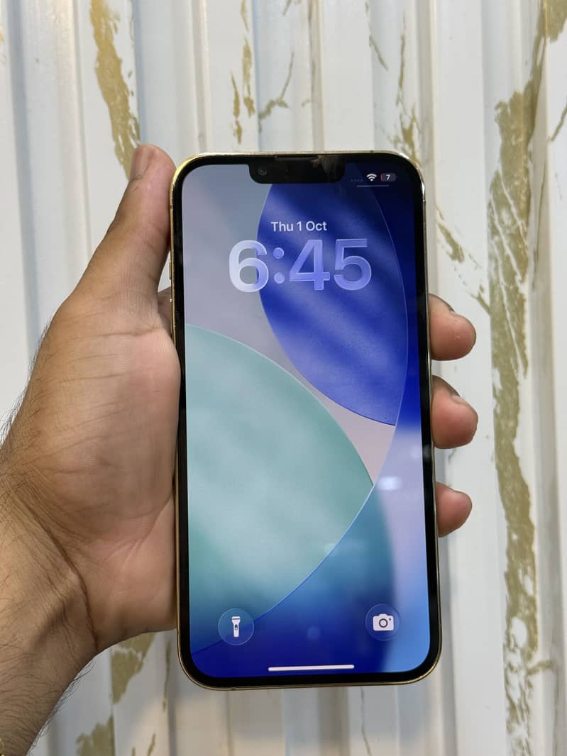 Apple iPhone 13 Pro 1