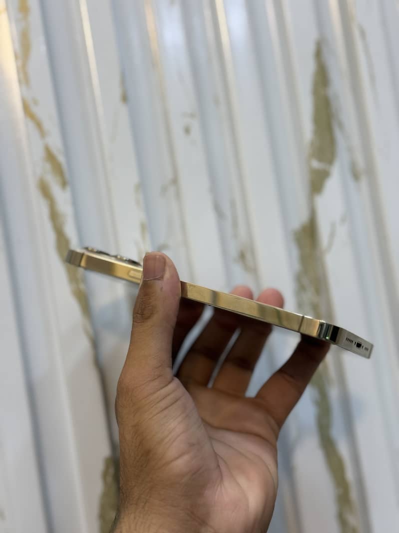 Apple iPhone 13 Pro 2