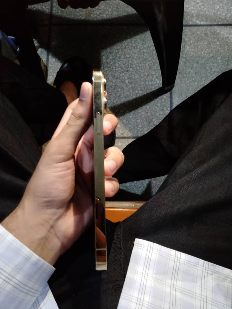 Apple iPhone 13 Pro Max 1