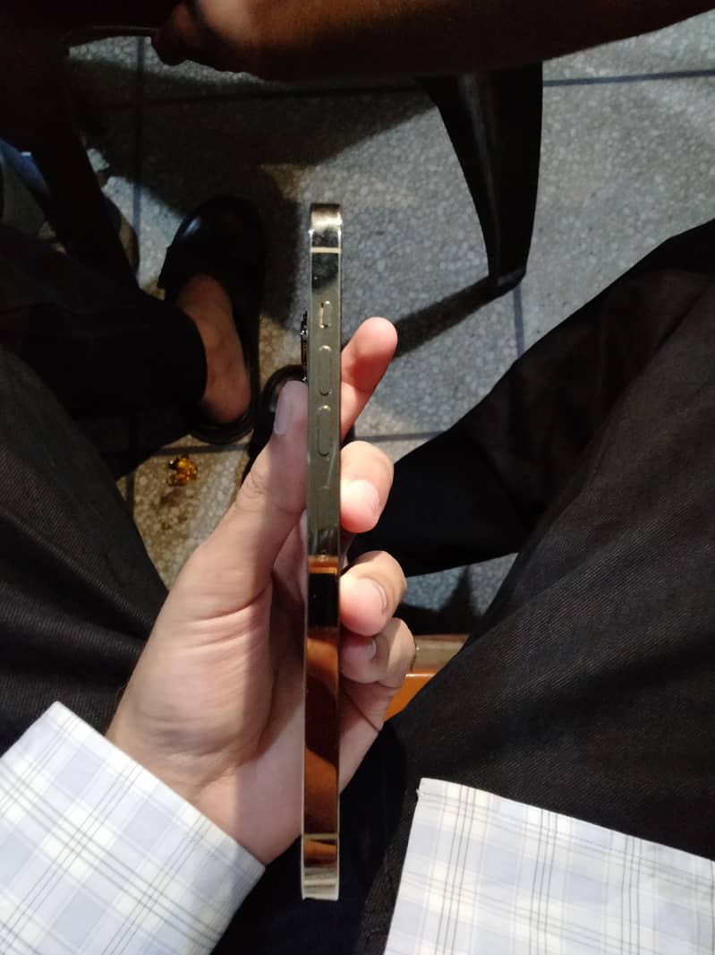 Apple iPhone 13 Pro Max 2