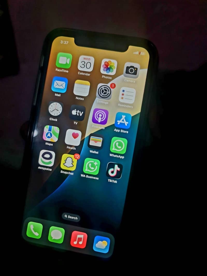 Apple iPhone XR 10