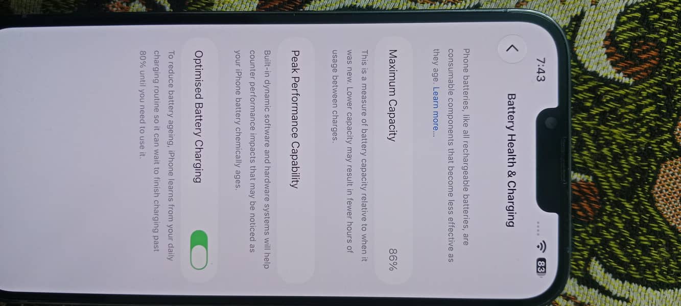 Apple iPhone 13 Pro Max 7