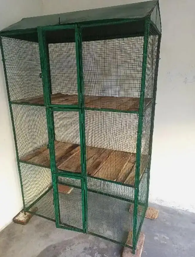 Cage (pinjra) for sale — photo 2