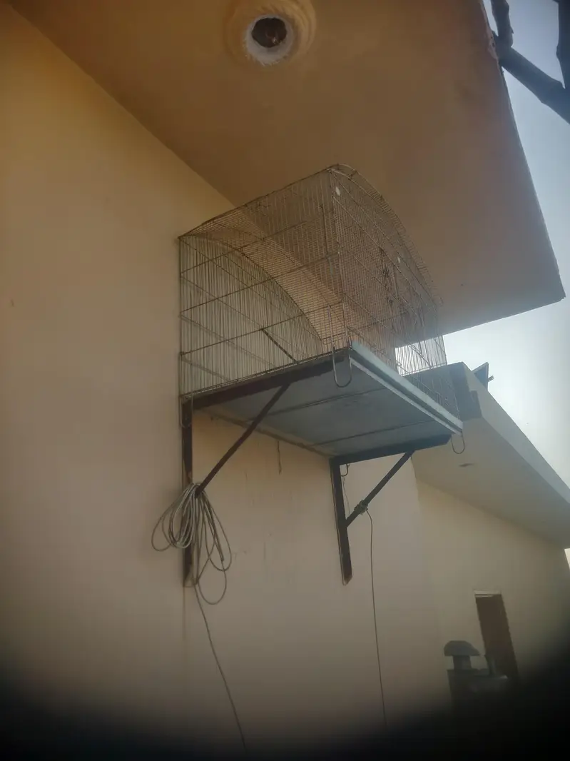 “Large Bird Cage with Stand – Good Size – Used” — photo 2