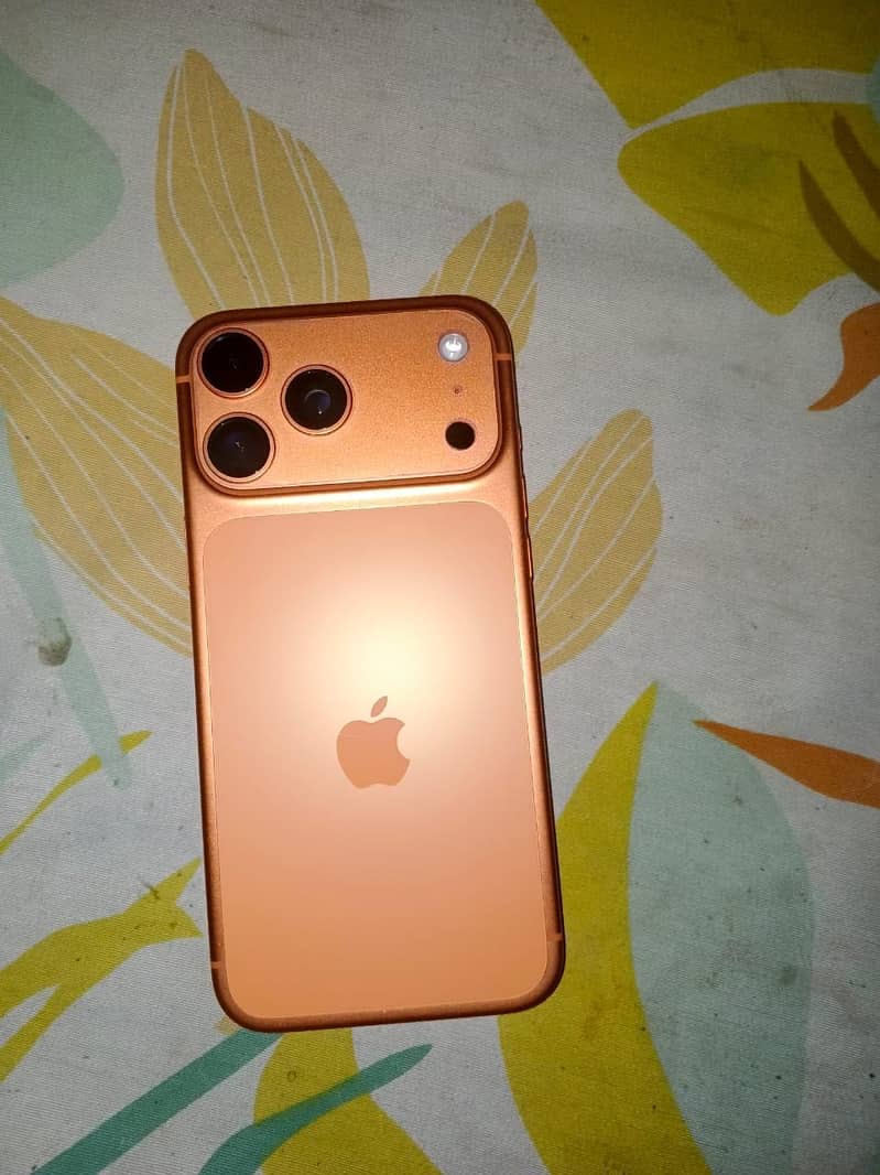 iPhone 17 Pro Max bypass 1