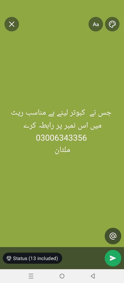kabootar for sale