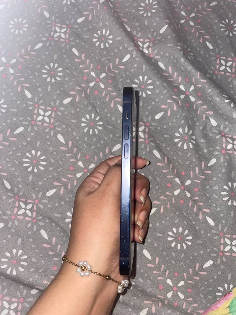 Apple iPhone 12 1