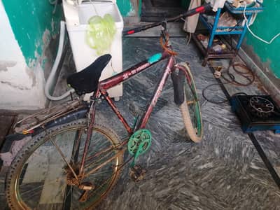 champion cycle for sale chakri road