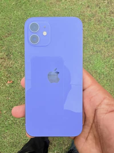 Apple iPhone 12