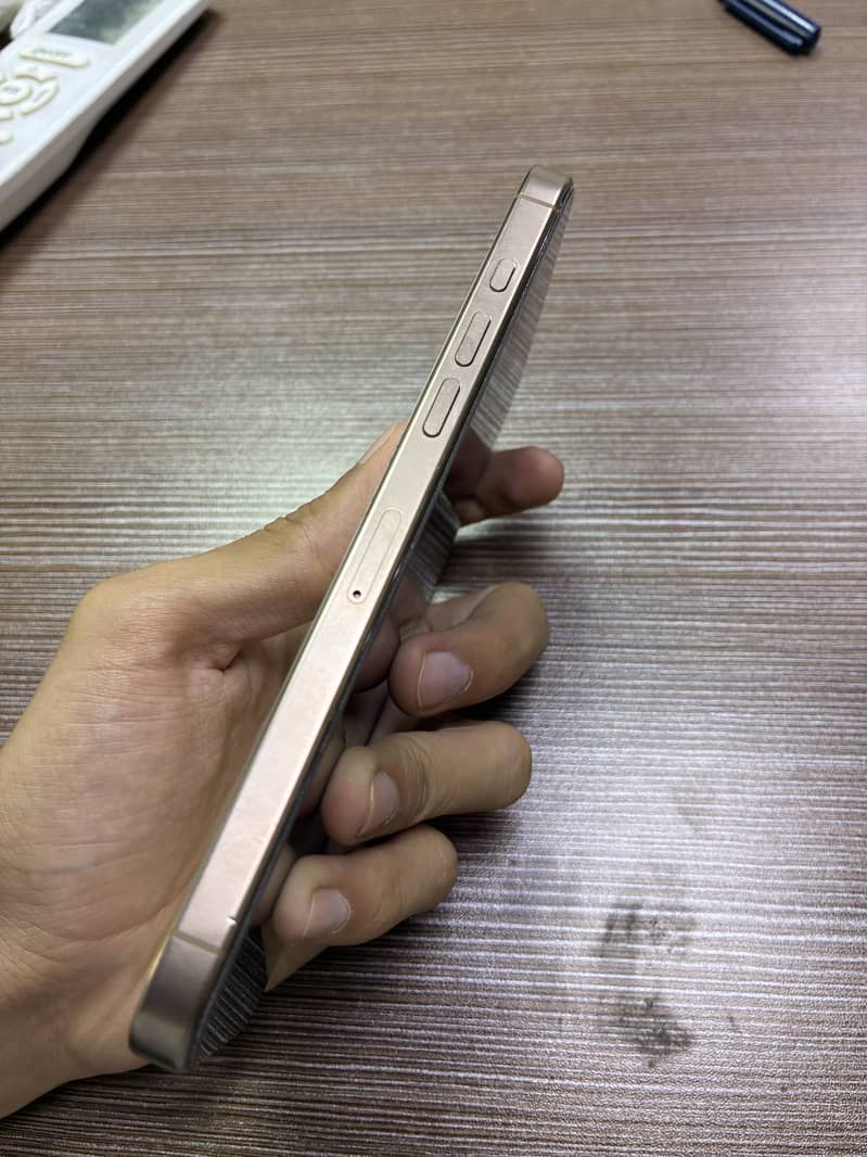 Apple iPhone 16 Pro Max 1