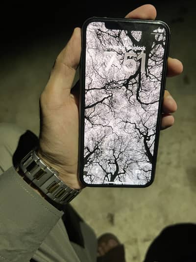 Apple iPhone 11 Pro