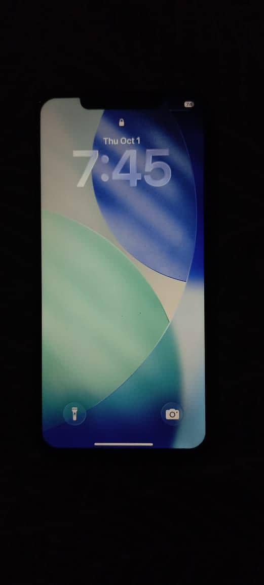 AppleiPhone 11 Pro Max 1