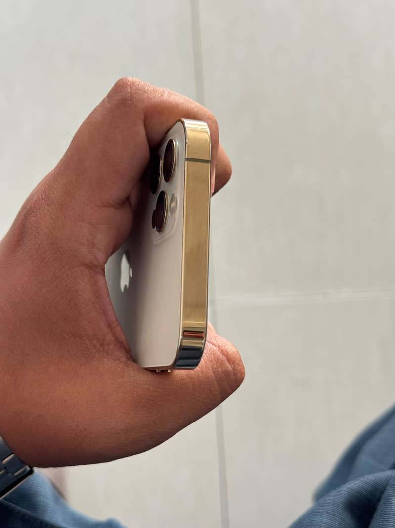 Apple iPhone 12 Pro 1