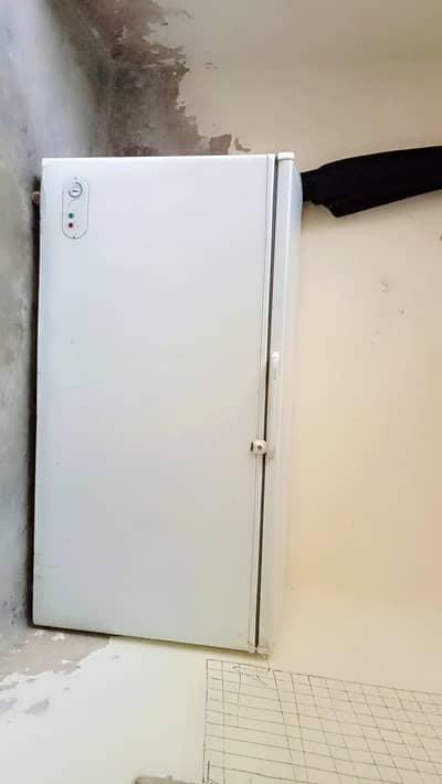 jumboo freezer