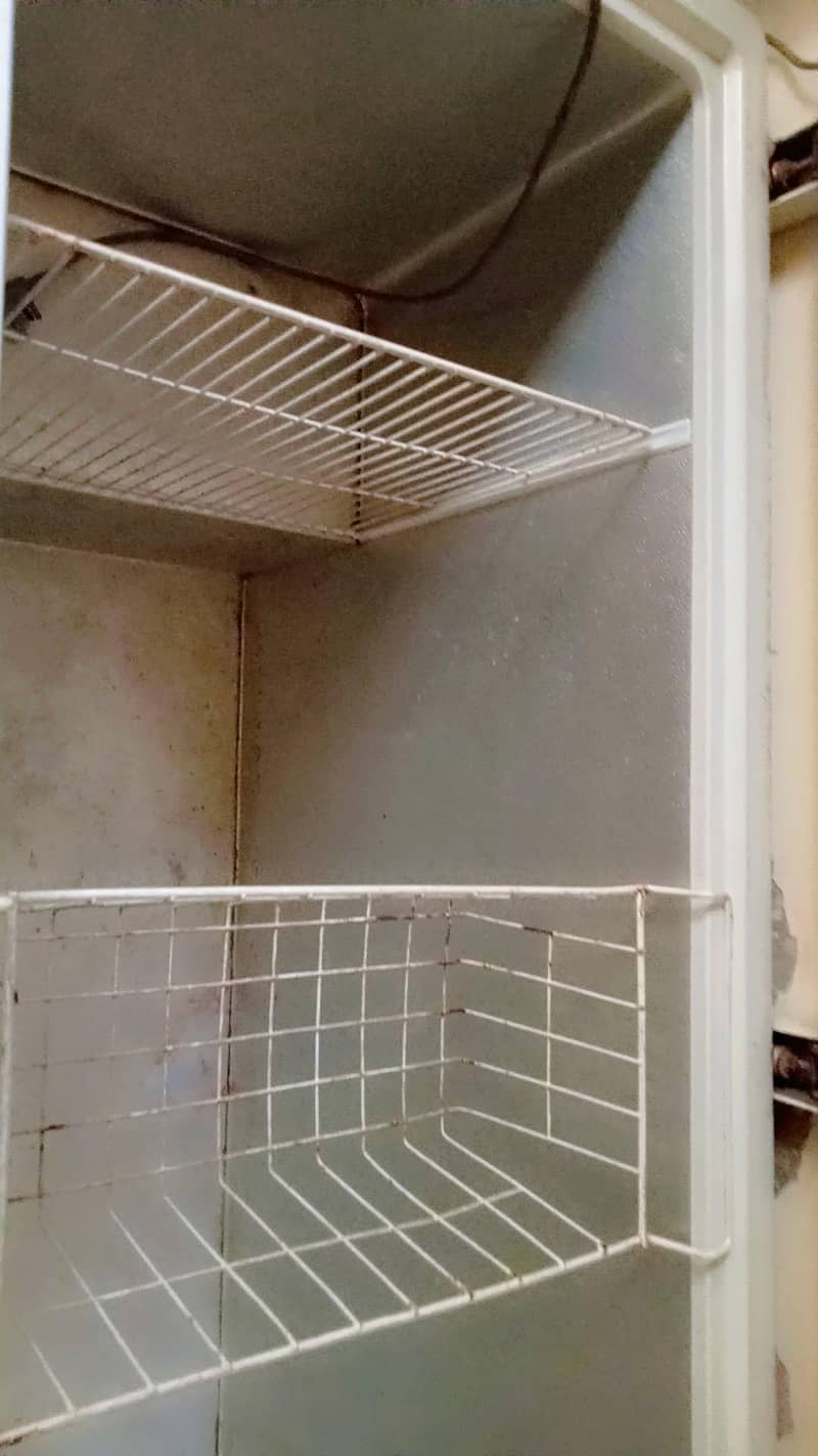 jumboo freezer 2