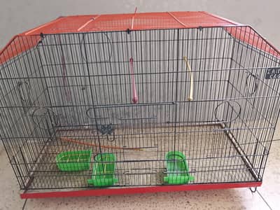 BUDGIES CAGE