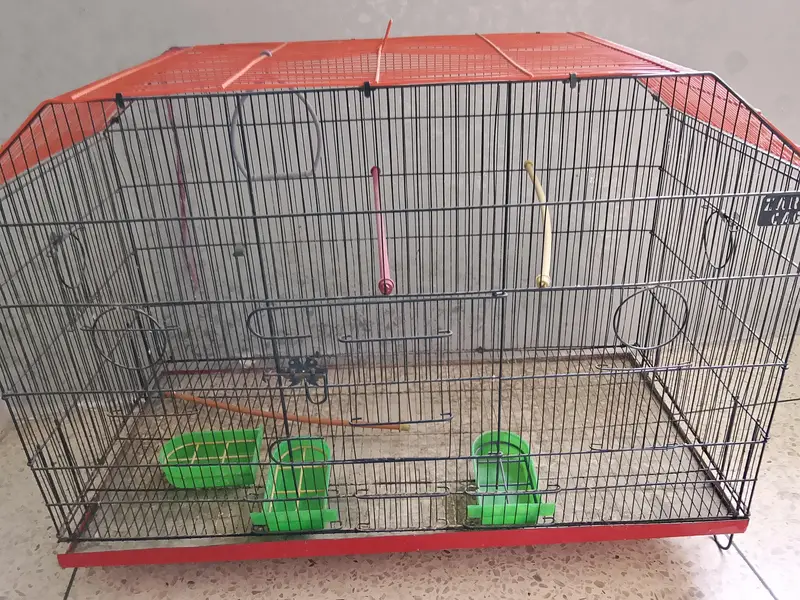 BUDGIES CAGE — photo 2