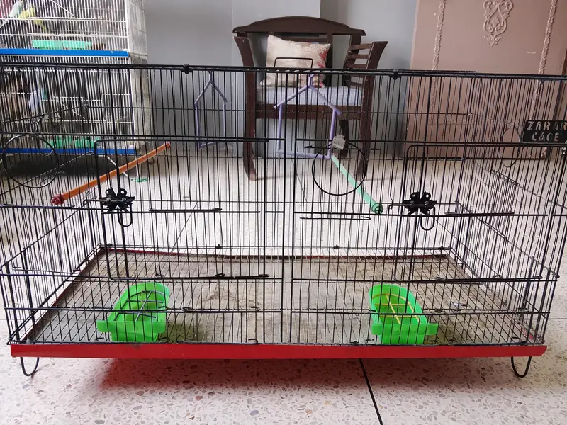 BUDGIES CAGE — photo 4