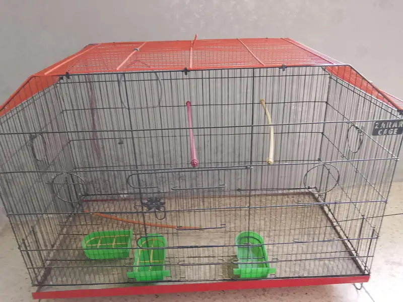 BUDGIES CAGE — photo 6
