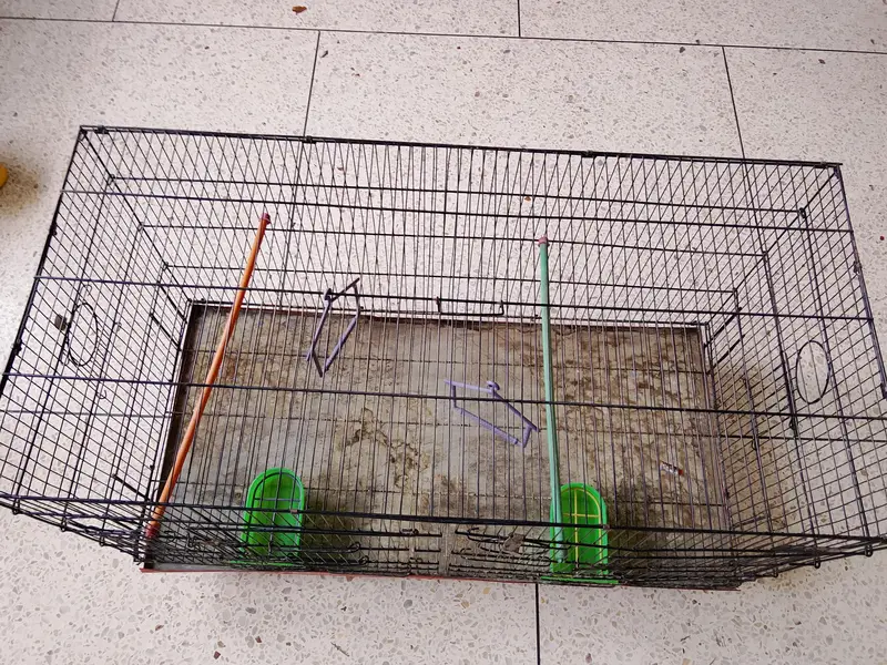 BUDGIES CAGE — photo 7