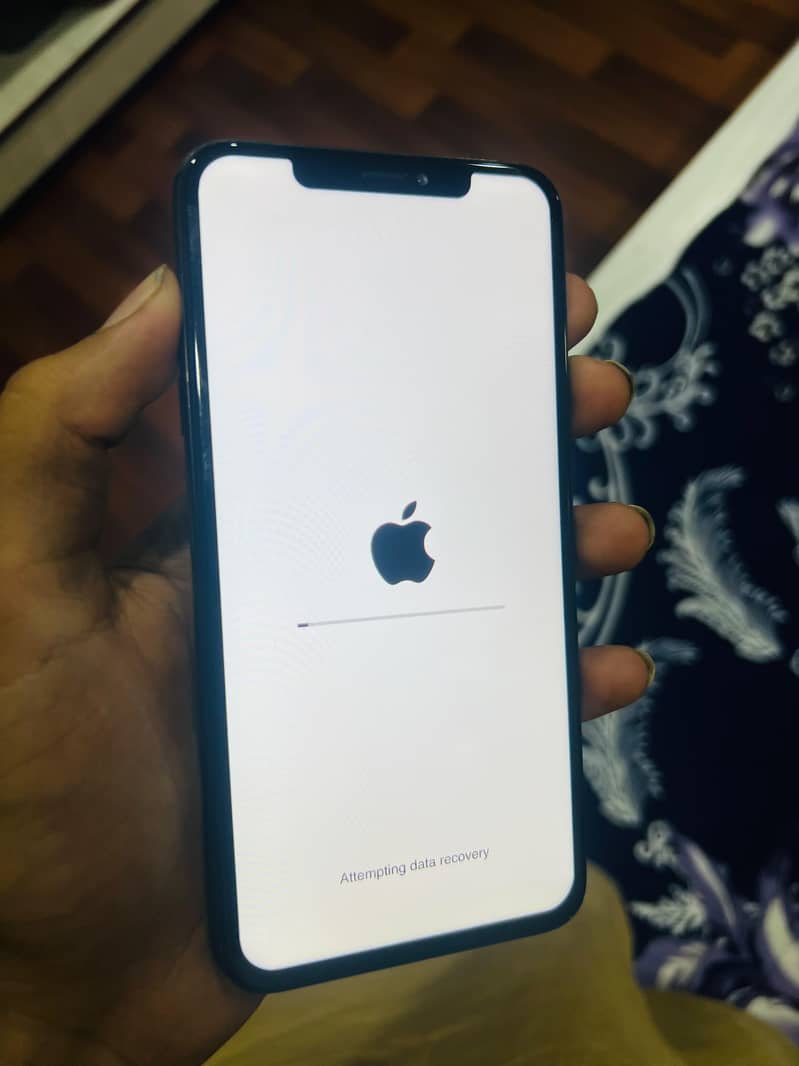 Apple iPhone XS Max 2