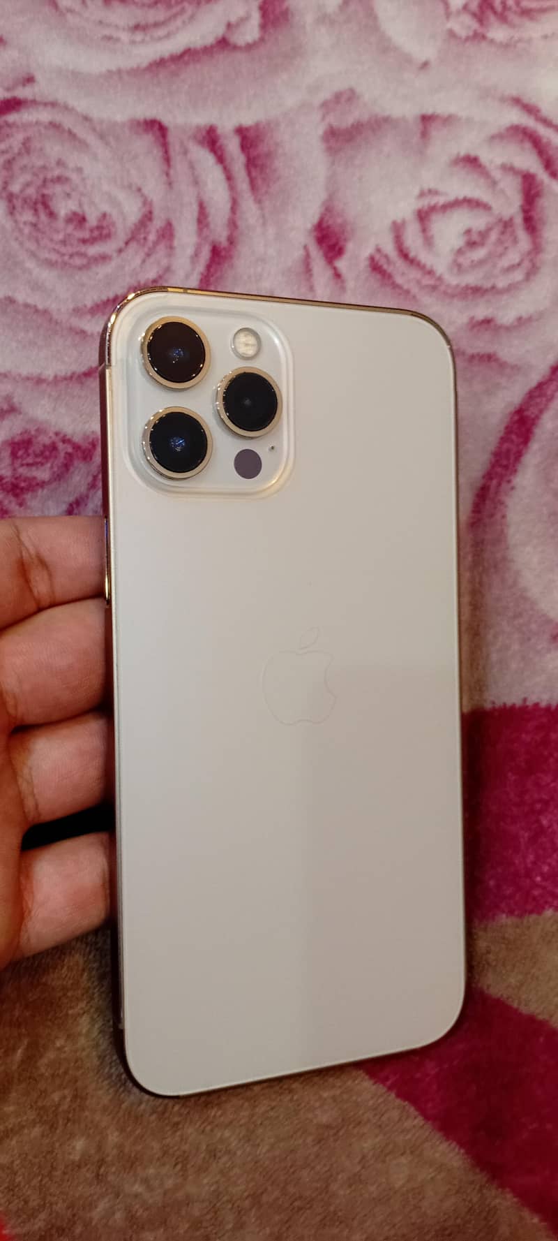 Apple iPhone 12 Pro Max 0