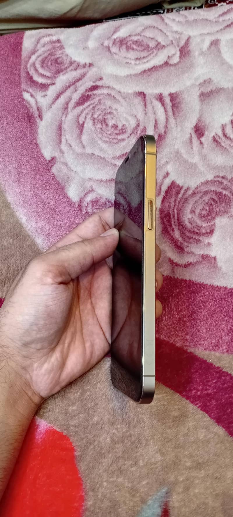 Apple iPhone 12 Pro Max 1