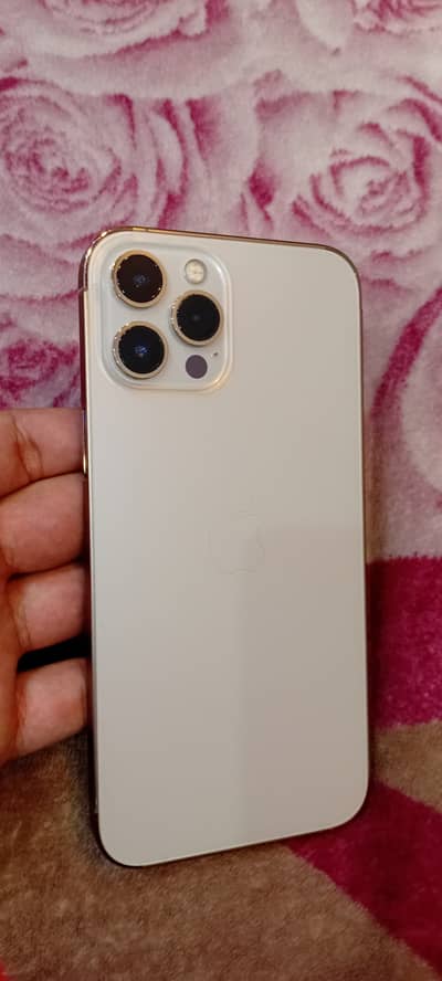 Apple iPhone 12 Pro Max