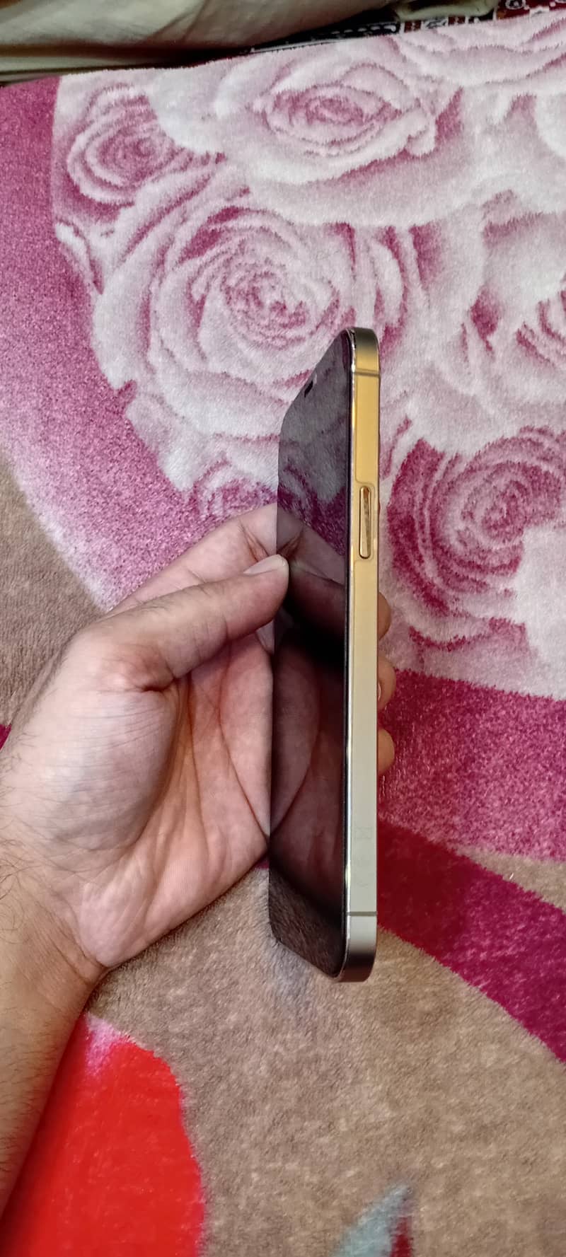 Apple iPhone 12 Pro Max 1