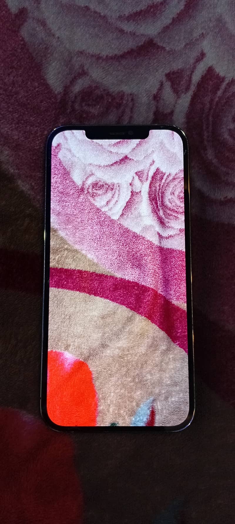 Apple iPhone 12 Pro Max 2