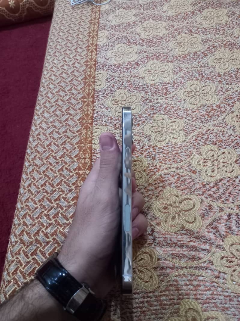 Apple iPhone 12 Pro Max 1